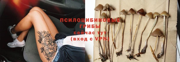 экстази Бородино
