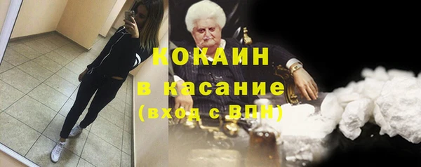 стаф Богородицк