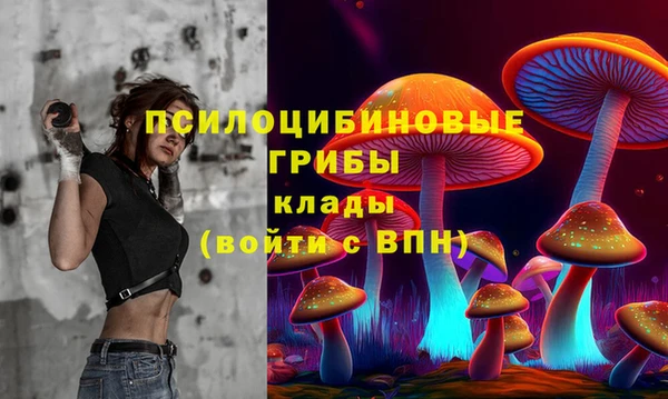 экстази Бородино