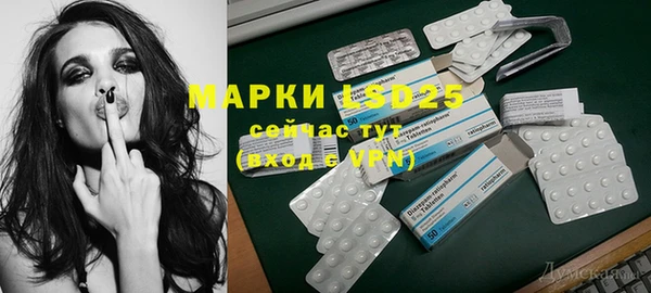 экстази Бородино